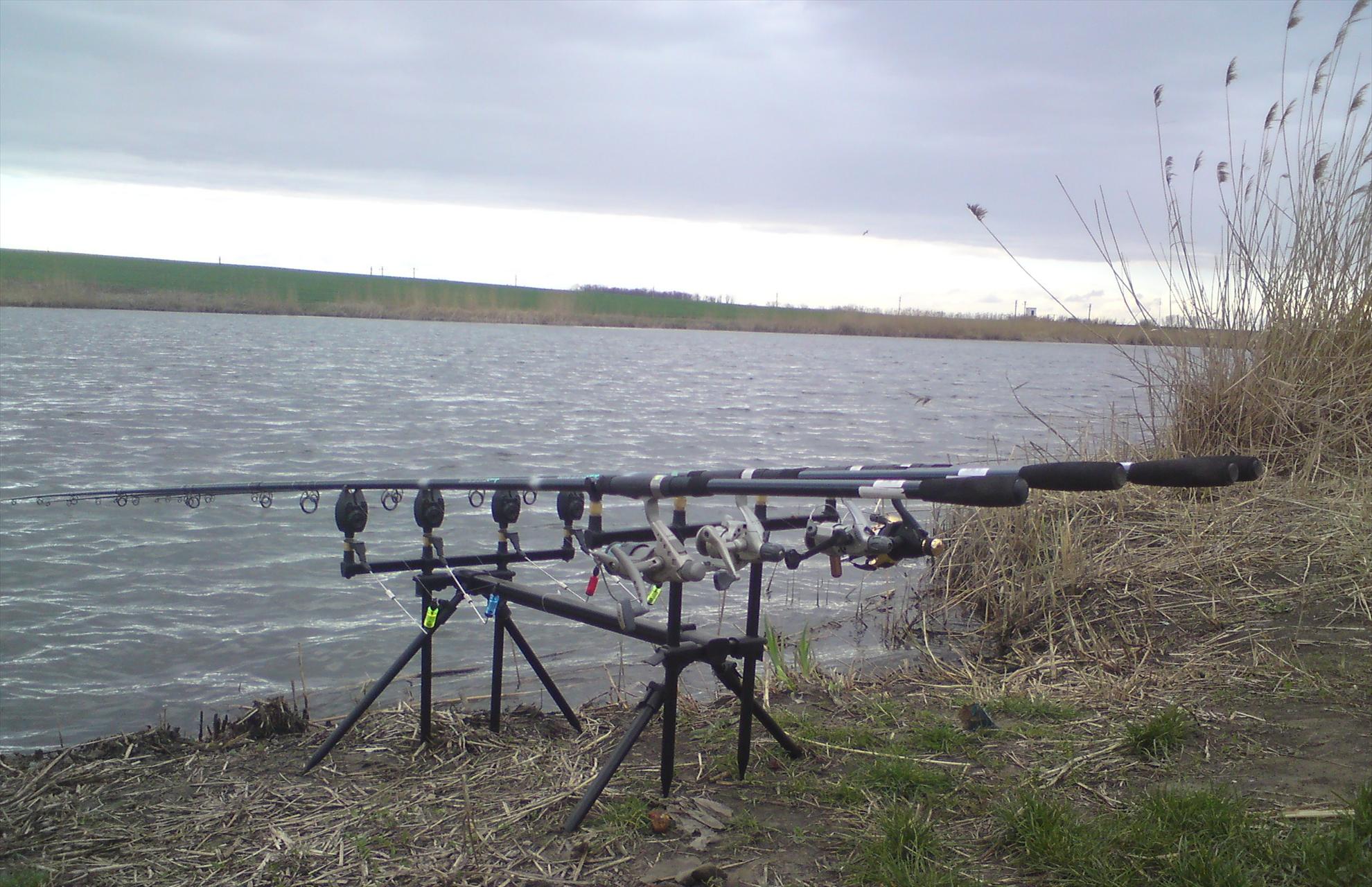 Movilita-Inceputuri.....